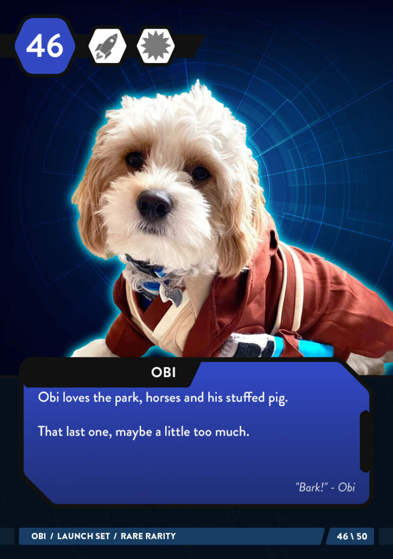 46 Obi